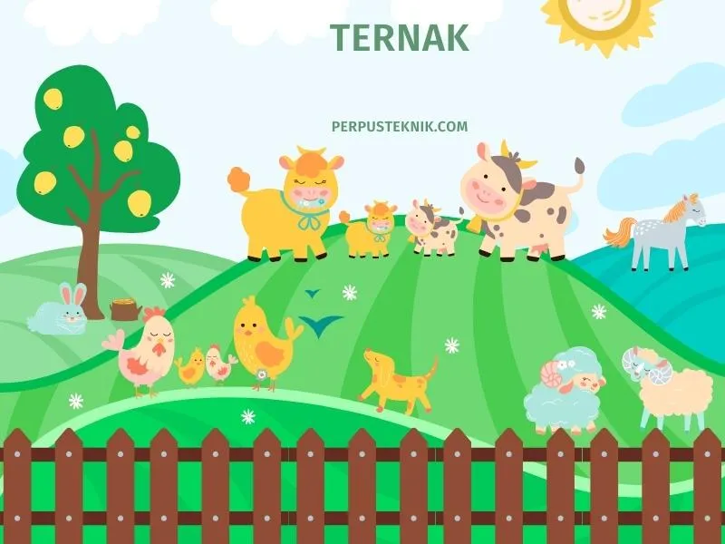 Mengapa UD.Lembu Lanang Jadi Pilihan Utama untuk Layanan Cilacap